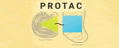 PROTACҩɵļʾͼ