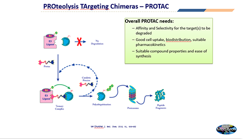 Сҩ＼-PROTAC