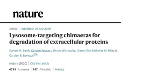 һֲͬĵ׽⼼øǶ壨lysosome-targeting chimaeras, LYTACs