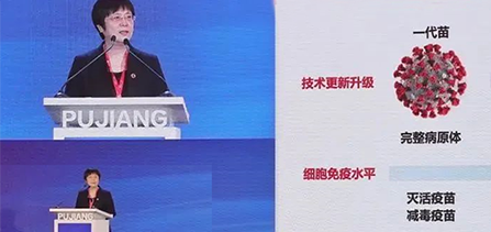 룬ʽ¹ʹȨ