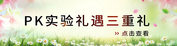 PKʵ.png