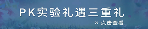 PKʵ.png