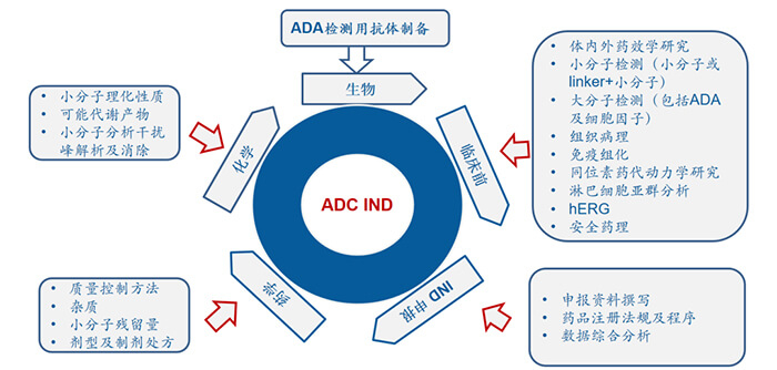 ADCҩз.jpg