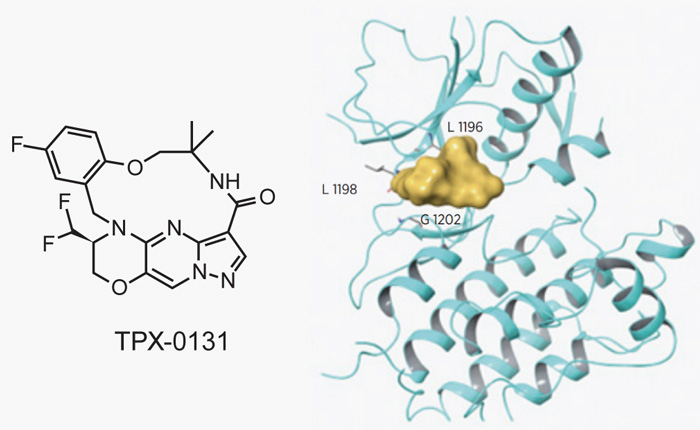 TPX-0131Ľṹ.jpg