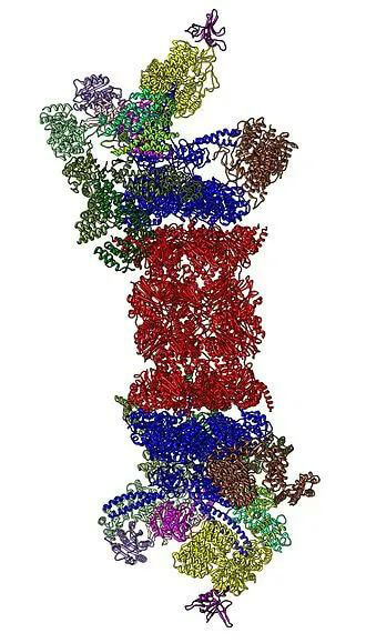 26SøṹԴWikipedia.jpg
