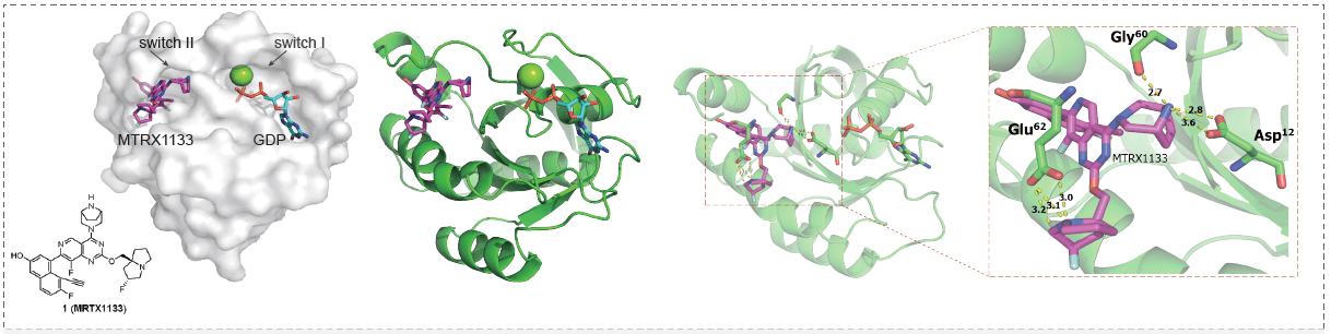 GDPϵKRASG12DMRTX1133Ĺṹ.png