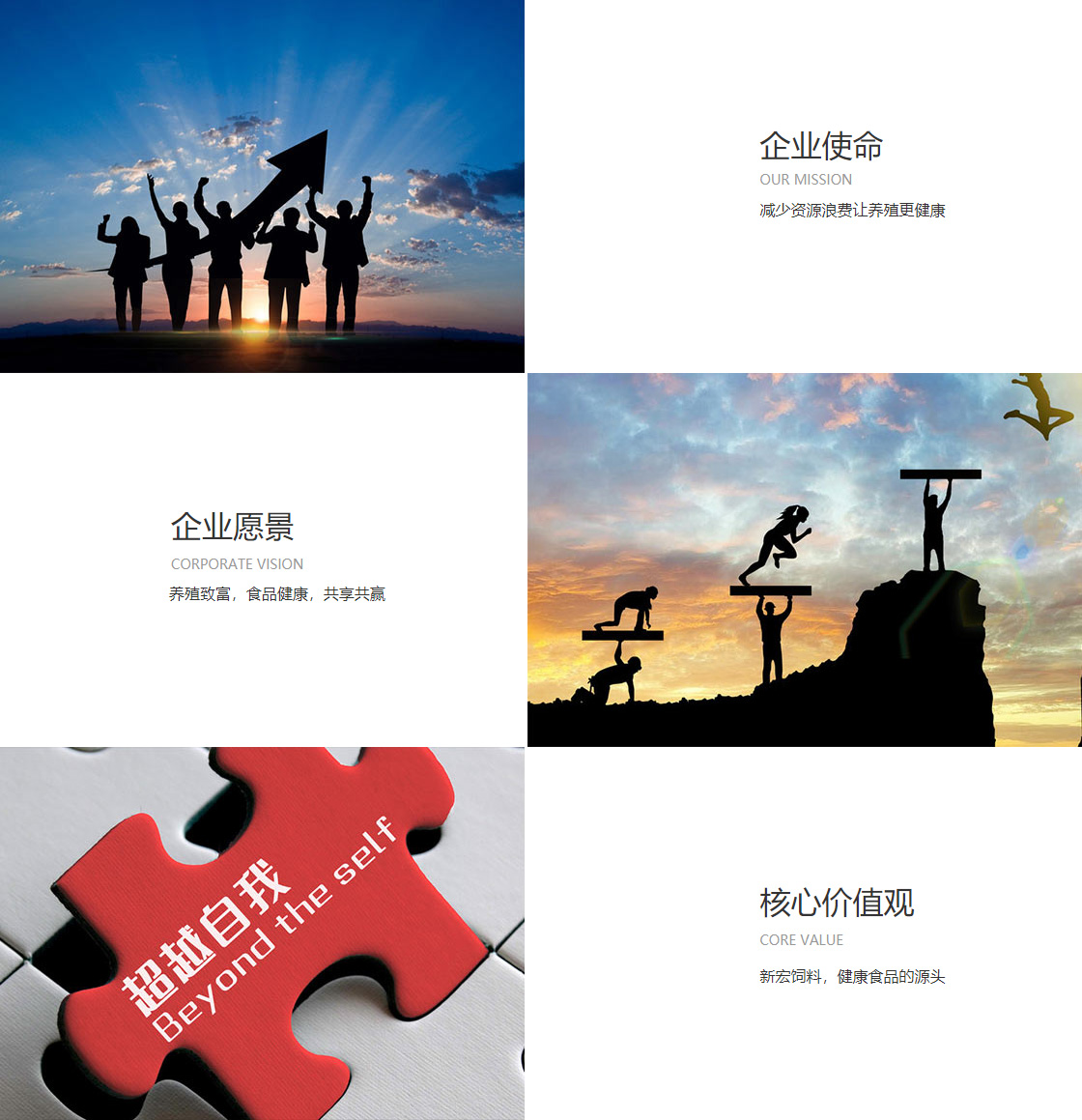mk体育(图1)